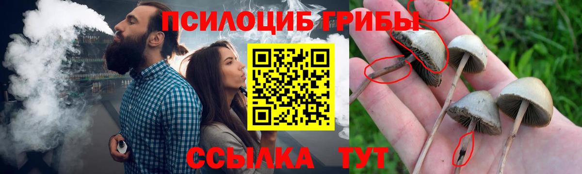 Псилоцибиновые грибы Psilocybe  Вход с VPN  Мирный 